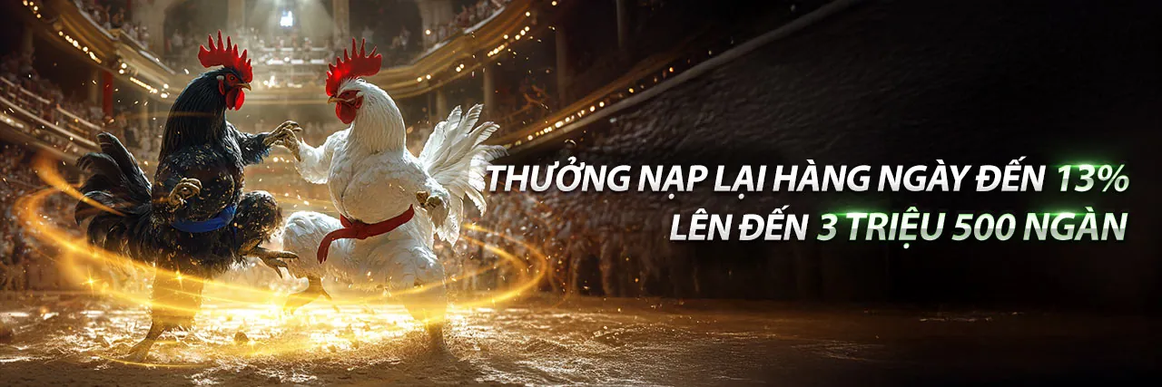 Giao diện ứng dụng betvn với các trò cá cược thể thao và sòng bạc trực tuyến